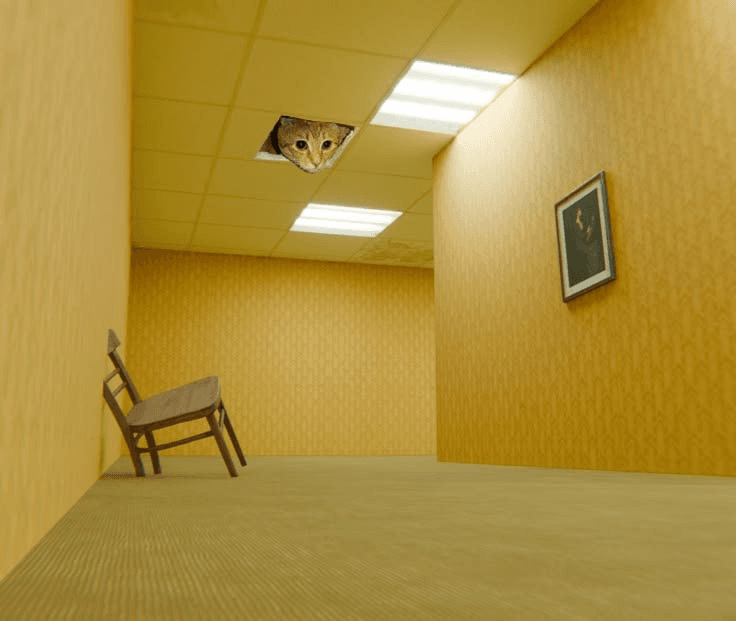 Ceiling Cat in the backrooms