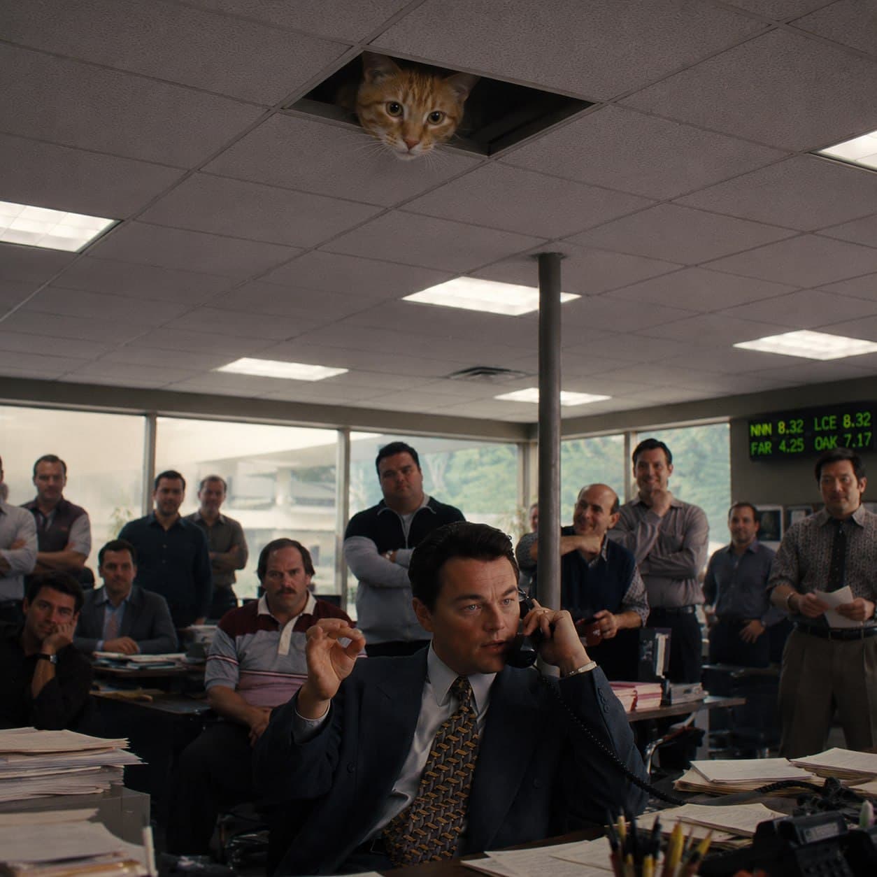 Ceiling Cat above a busy office
